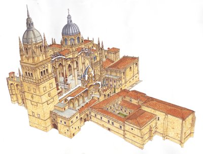 Salamanca Cathedral, Spain by Fernando Aznar Cenamor